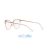 EMPORIO ARMANI 0EA1087 3167 SHINY PINK&ROSE GOLD Lipo Optika