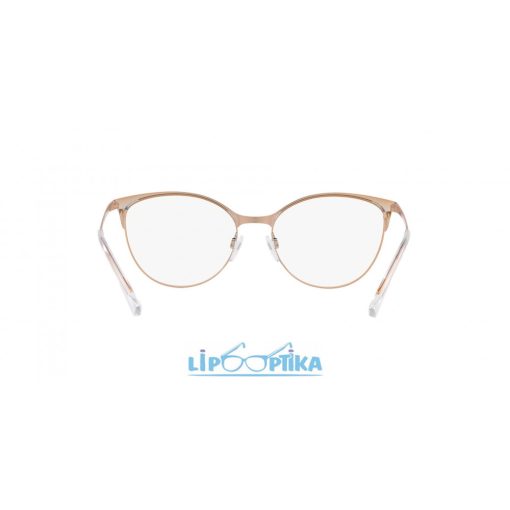 EMPORIO ARMANI 0EA1087 3167 SHINY PINK&ROSE GOLD Lipo Optika