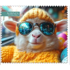 Törlőkendő 50 027 396